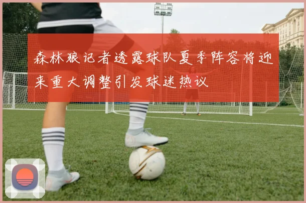 森林狼记者透露球队夏季阵容将迎来重大调整引发球迷热议