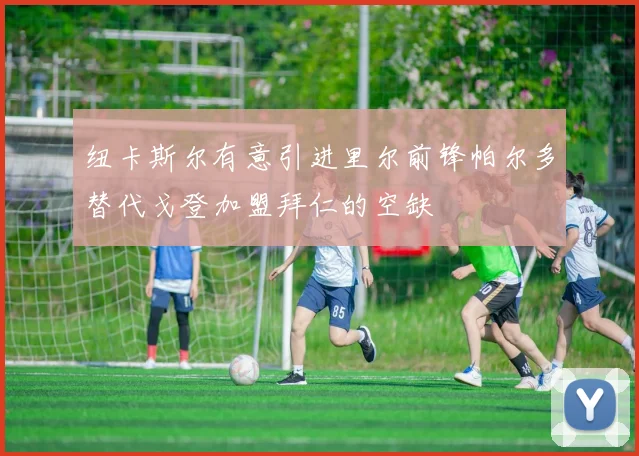 纽卡斯尔有意引进里尔前锋帕尔多替代戈登加盟拜仁的空缺