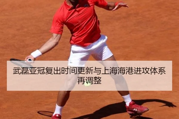 武磊亚冠复出时间更新与上海海港进攻体系再调整 - huobosports